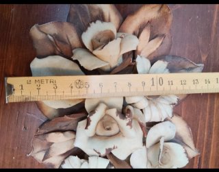 Decorazioni Capodimonte Fiori