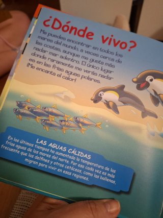Coleccion cuentos animales del mar