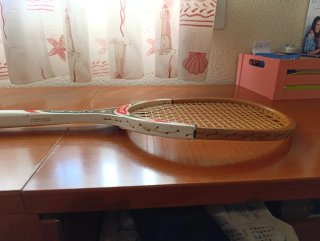 Raqueta Dunlop Clásica 505