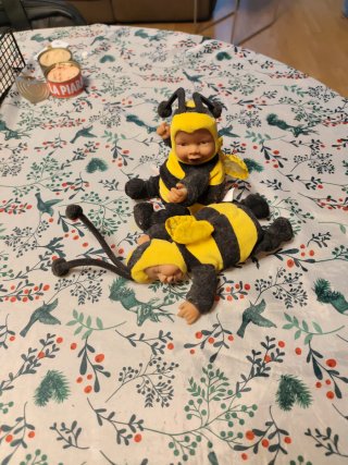 Lote 2 Bebés Anne Geddes Disfraz Abeja