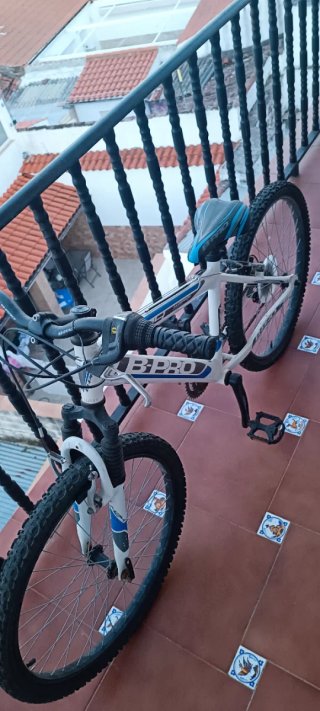 Bicicleta Infantil B-Pro