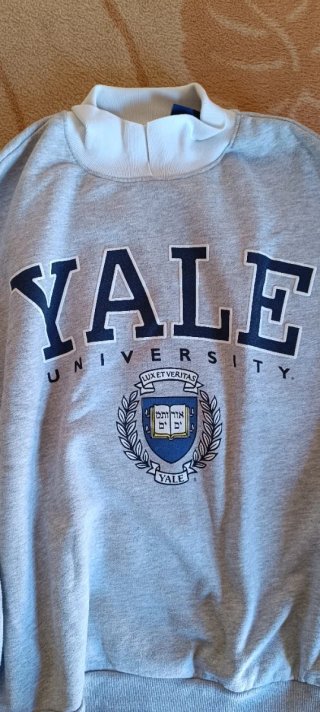 Sudadera Yale University Oversized Gris