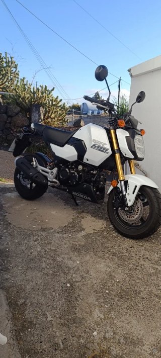 Honda MSX 125 Grom Blanca