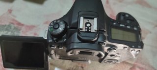 Canon EOS 90D Cuerpo + Accesorios