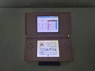 Nintendo DS Lite Rosa + Cargador