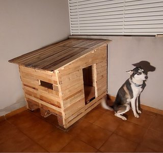 Casita de madera para perro grande.