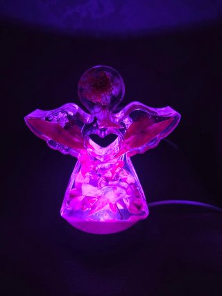 Luce angelo con fiori secchi