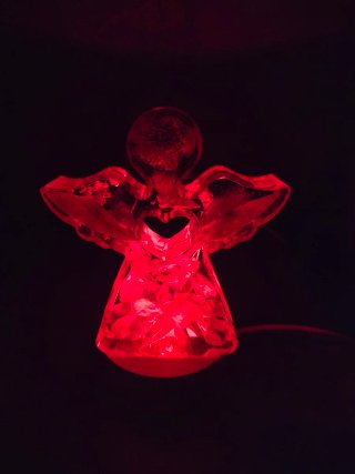 Luce angelo con fiori secchi
