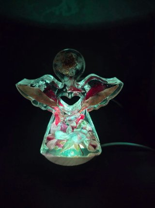 Luce angelo con fiori secchi