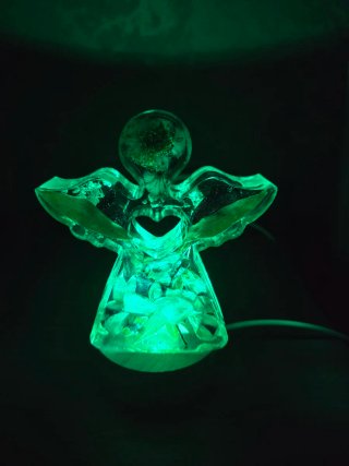 Luce angelo con fiori secchi