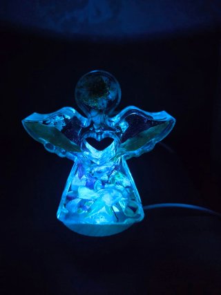 Luce angelo con fiori secchi