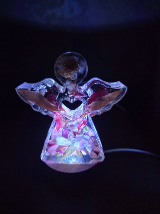 Luce angelo con fiori secchi