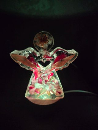 Luce angelo con fiori secchi