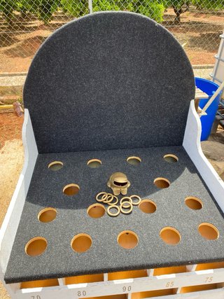 Juego de Rana