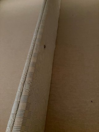 Canape Cama 150cm Beige/Marrón