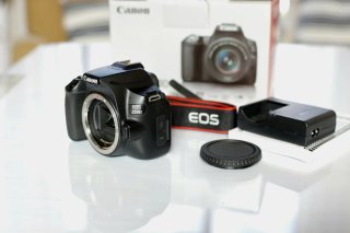 Cuerpo Canon EOS 250D ¡Como Nueva con Caja!