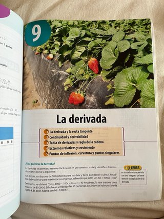 Matemáticas Aplicadas a CCSS Bruño 1º bach
