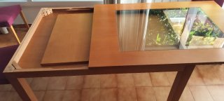 Mesa Rectangular Madera y Cristal y sillas