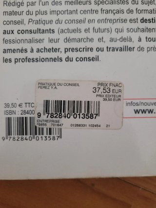 Pratique du conseil en entreprise