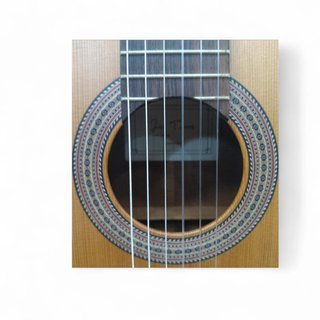 GUITARRA CLASICA JOSE TORRES JTC-5S + FUNDA A ESTRENAR