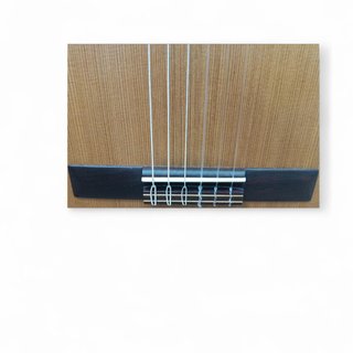 GUITARRA CLASICA JOSE TORRES JTC-5S + FUNDA A ESTRENAR