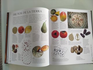 Signos y símbolos: Guía ilustrada de su origen ...