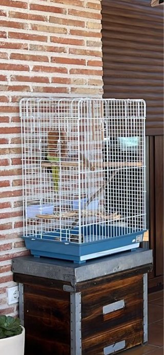 Jaula para cotorras y pájaros