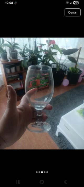 14 Copas San Miguel