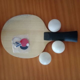 Raqueta Ping Pong Sanwei T5000
