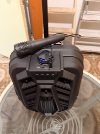 Altavoz Sing-e QS8133 con Micrófono