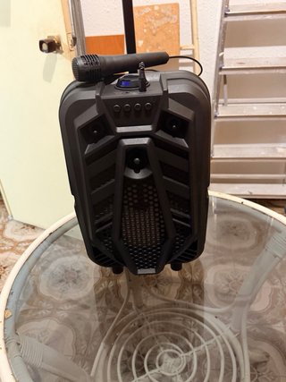 Altavoz Sing-e QS8133 con Micrófono