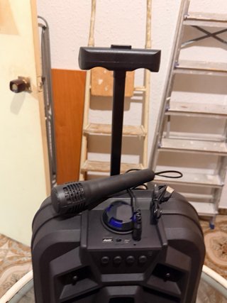 Altavoz Sing-e QS8133 con Micrófono