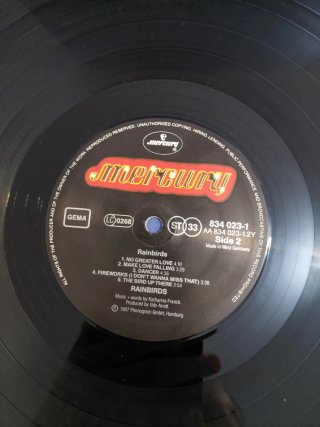 Vinilo Rainbirds