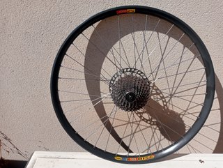 rueda Mavic 26 x30 QR10 reforzada,36 radios traser