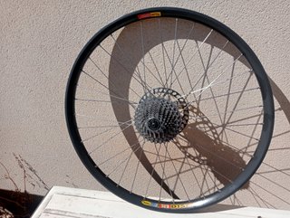 rueda Mavic 26 x30 QR10 reforzada,36 radios traser
