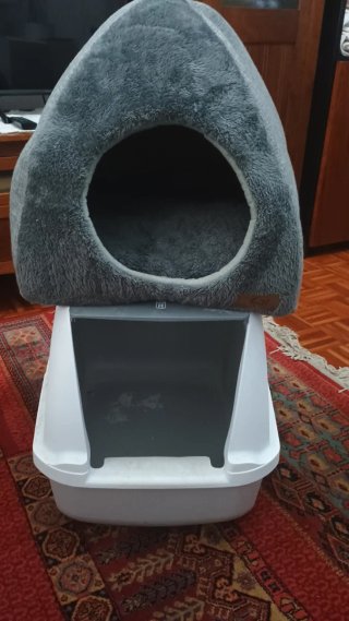 Arenero para gato con cama