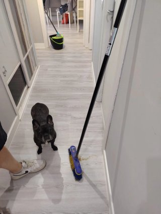 Instalación tarima flotante, laminados y vinílicos
