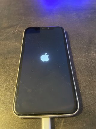 iPhone 11 Blanco