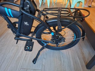 Bicicleta Eléctrica LUCHIA SIRIO 250W