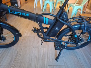 Bicicleta Eléctrica LUCHIA SIRIO 250W