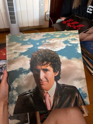 Lote Vinilos Rock Internacional y Nacional