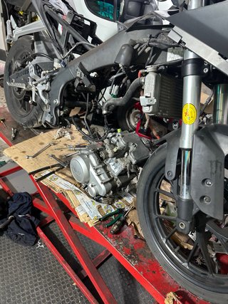 Recambio Yamaha YZF 125 (2008-2016-2025)