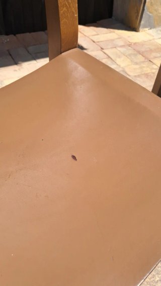 Sillas rústicas castellanas fraileras