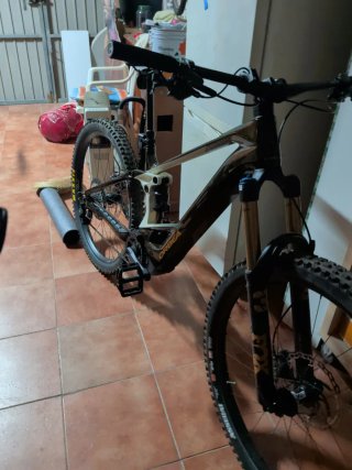 Orbea Wild M-Team 2025