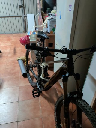 Orbea Wild M-Team 2025