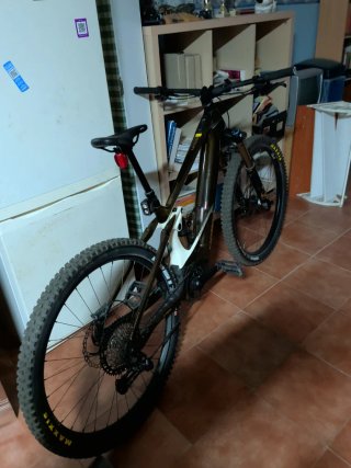 Orbea Wild M-Team 2025