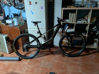 Orbea Wild M-Team 2025