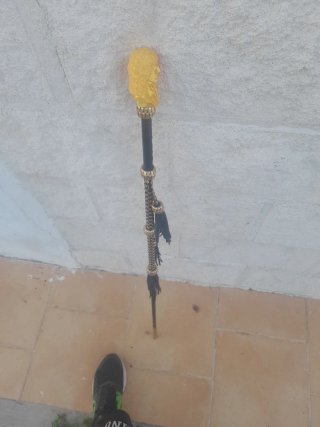 Garrota gitana con cabeza dorada
