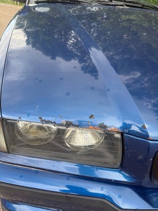 BMW Serie 3 1998