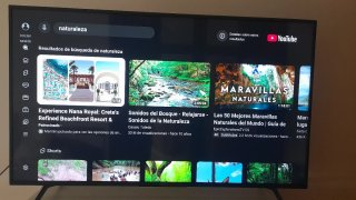Smart TV Sony Android 55"